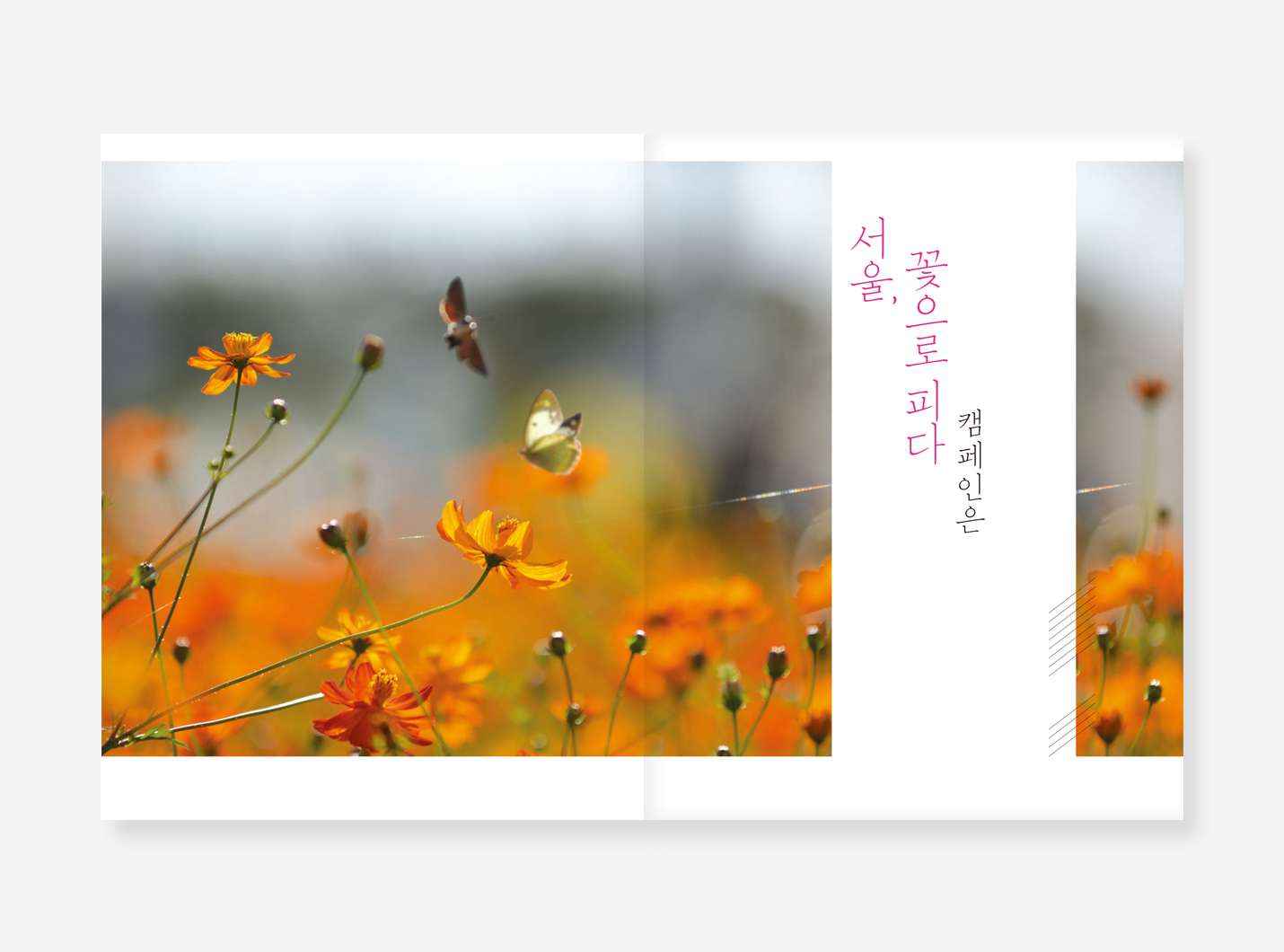 서울 꽃으로 피다 백서